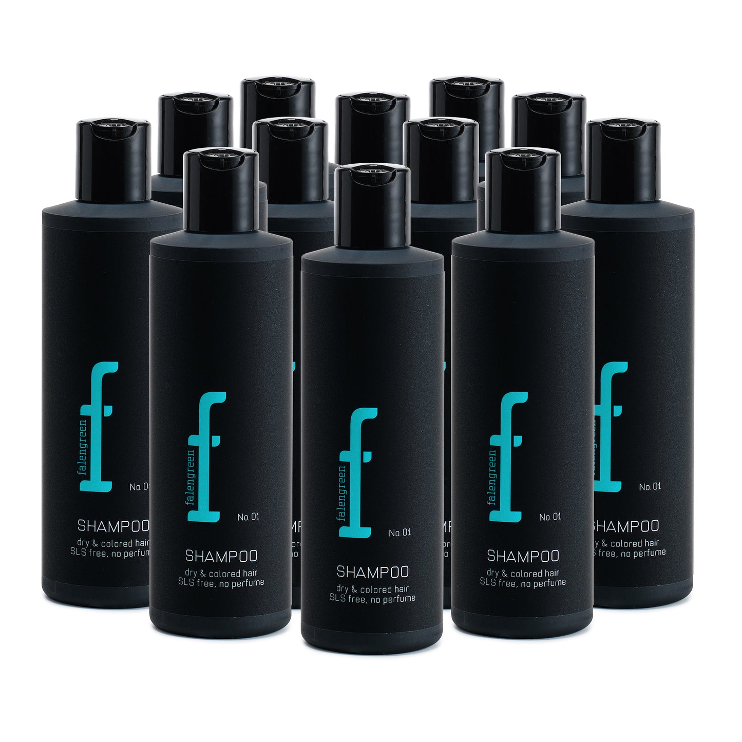 CLEAN UP OFFER x 12 Shampoo N°1 (250ml - Dry & Colored Hair)